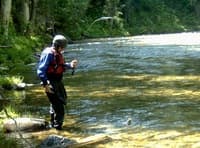 Cutthroat Fishing