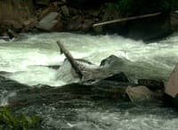 Bodybag Rapid