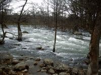 Gruene Rapid @1260cfs