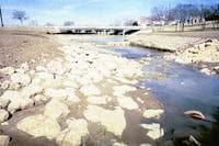 1st low head dam (dry)