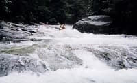 (RM) Misc Rapid 2