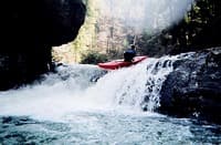 (RM) Pine Tree Falls