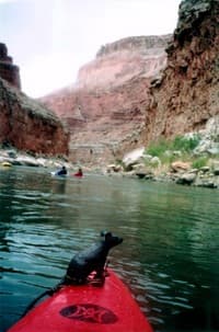 Riding in the Canyon