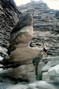 Carbon Creek