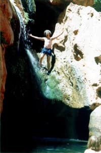 To Take The Plunge
