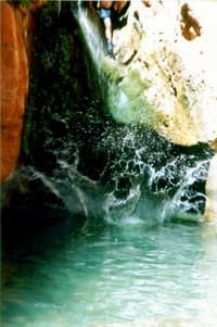 Splash!