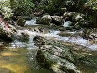 Rapid on Rockhouse Creek