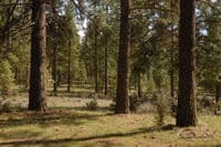 Keno Recreation Area