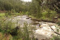 Pinebox Rapid