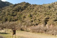 Snag Hole Access Site