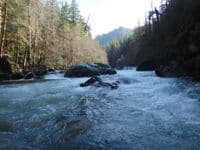 Flse undercut rapid