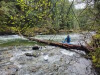 Wood portage at 850 cfs, we portaged on river right.