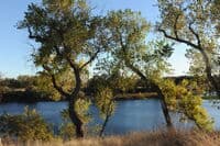 River at Thermalito Access