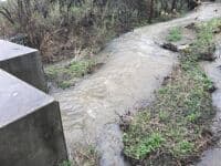 Downstream of 121st & W,Waterford