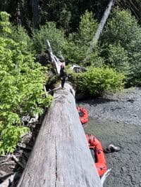 Portaging over logjams