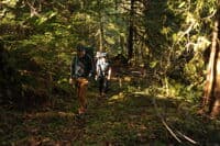 Hiking Up the Old Road Bed at the Take-out