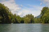 Floating on the Skagit
