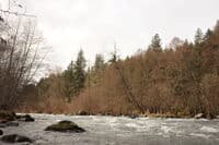 Rapids on the Lower Hood