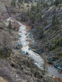 Shasta River at 350 cfs