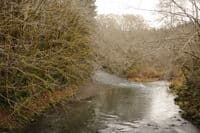 View Upstream from the Forest Road 29 Bridge