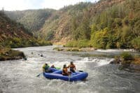 Looking Downstream in African Queen