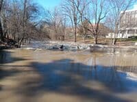 MSU Wave at 1600