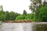 Mashel River at the Confluence