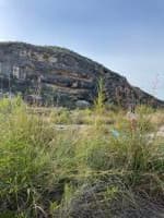 Turkey Bluff