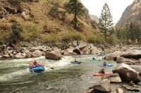 Redside Rapid