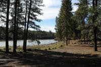 Pioneer Park Views