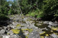 River Channel Below Copco Dam