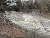 The Rooster Tail