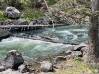 river wide wood