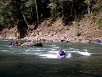 Twin Cedars Surf Wave