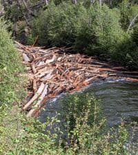 Log Jam above upper class 4 gorge