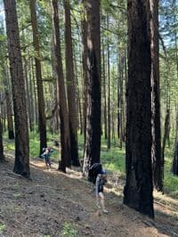 North Fork Trail