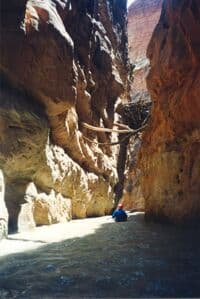The Chute