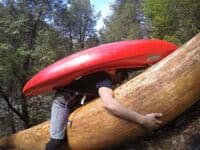 Over a Log