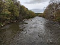 Fort Hill Rapid