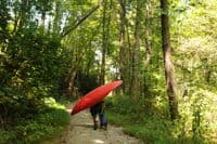 Take-Out Trail