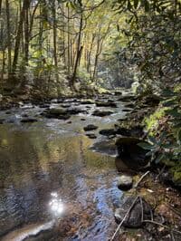 lower gorge