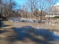 MSU Wave at 1600