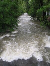 Mason Creek