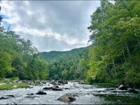 Conasauga from Snorkeling hole to Ladd Springs Rd