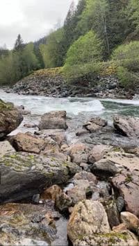 S Bends 1