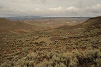 The Road to Birch Creek