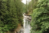 View Downstream from the Bridge