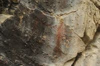 Pictographs
