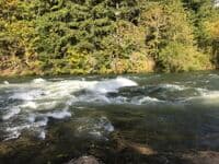 Roadside Wave / Ledge Near put-in 