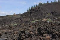 Newberry Lava Field